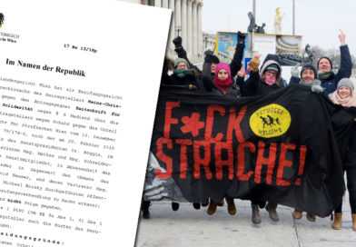 Das „Fuck Strache“-Urteil: Warum man dem Vizekanzler den Mittelfinger zeigen darf