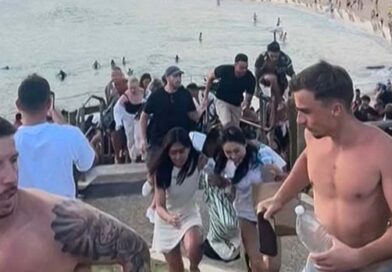 Antisemitischer Anschlag am Bondi Beach darf kein Vorwand für Diffamierung der Palästina-Bewegung sein