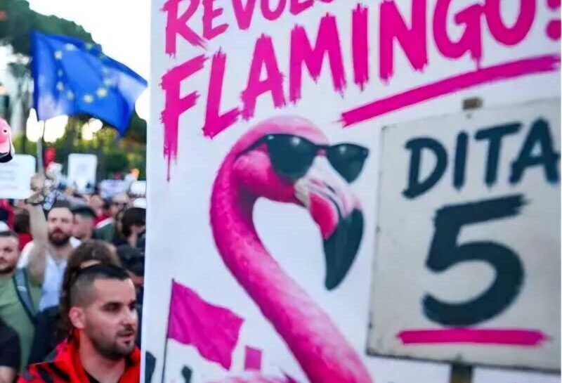 Aufstand in Albanien: Flamingo-Revolution